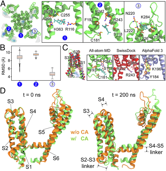 Voltage-sensor conformational microenvironments encode isoform-selective ion channel activation